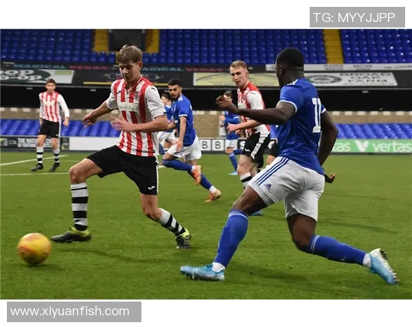 探索伊普斯维奇的历史与文化魅力，揭开这座城市的独特面纱与风情