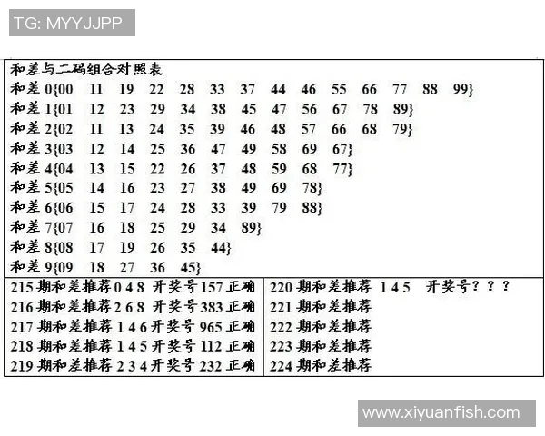 探索3D双彩论坛字谜的奥秘与技巧，揭示字谜背后的智慧与乐趣