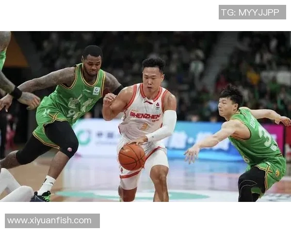 2016年1月13日四川队与辽宁队激战正酣精彩瞬间回顾与赛后分析